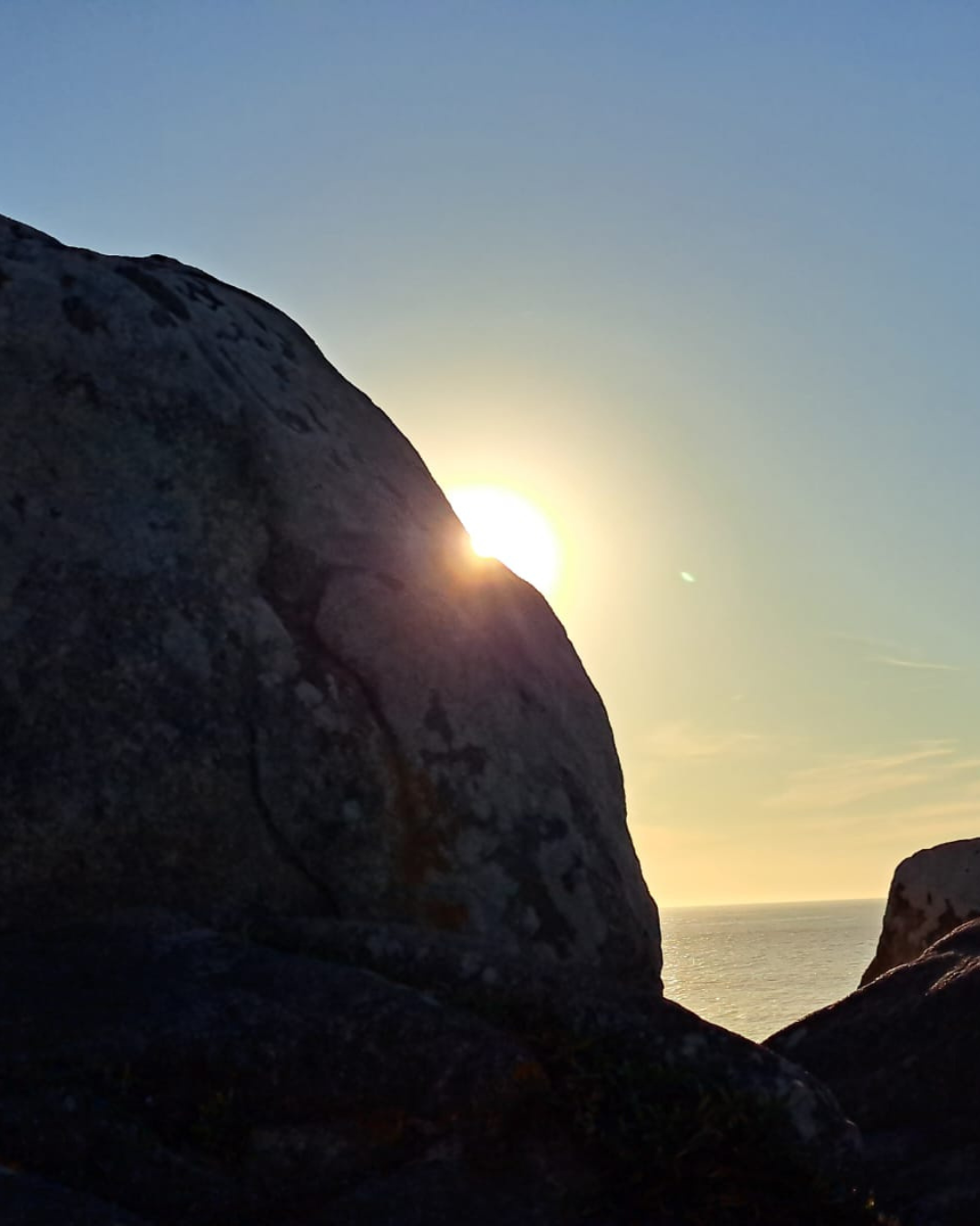 Design sem nome (18)